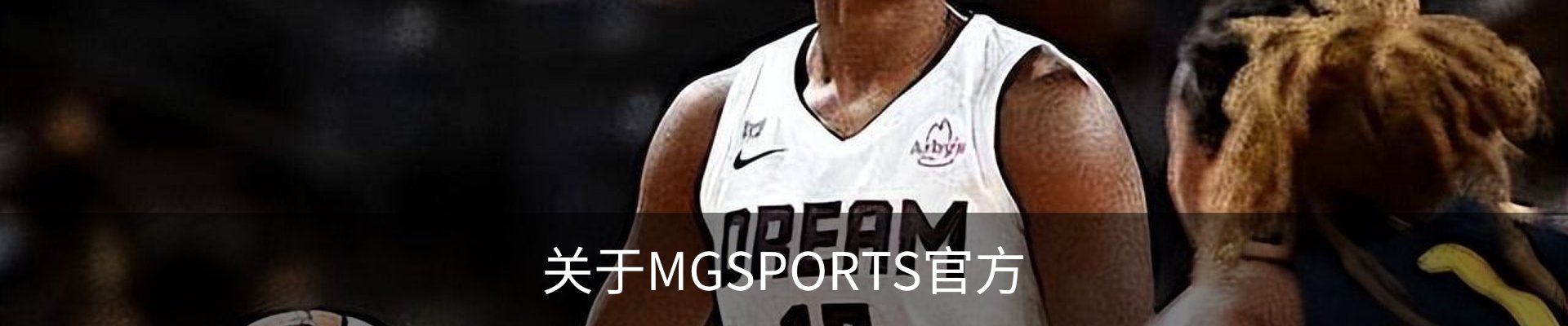 关于MGSPORTS官方
